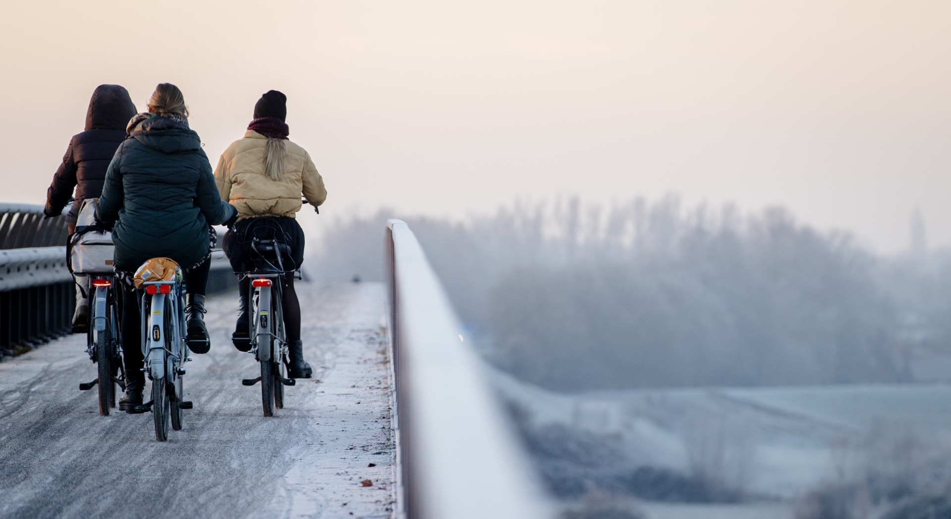 Fc5cc58e95a9f9d31cbf50029524f845